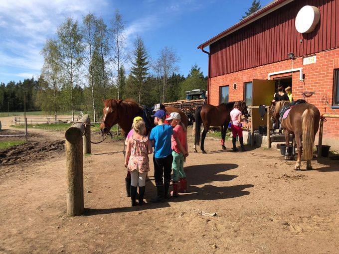 TARVITSET MUKAAN:

Ota mukaan liinavaatteet, pesuvälineet, uikkarit ja pyyhe. Täkit ja tyynyt saa Farmilta. Oma, kypärä, ratsastushanskat, turvaliivi, ratsastushousut ja ratsastuskengät on suositeltavaa. Tarvittaessa edellämainitut varusteet saa lainaksi farmiltakin.

Sadepäivän varalta sadetakki, sekä useat vaihtovaatteet. Aurinkoisille päiville aurinkorasva.

Leirin ohjelma viimeistellään yhdessä kaikkien leiriläisten saavuttua. Maastoihin vaadimme kaikkien askellajien perusosaamista kentällä (HeC). Allergia tiedot olisi hyvä ilmoittaa jo etukäteen. Laktoosi-intoleranssi, gluteeniton, keliakia jne. kaikki allergiat huomioidaan ilman lisäveloitusta.

Huomioitavaa: lihaton ja kalaton ja vegaaninen ruokavalio viikonloppujen mittaisille leireille onnistuu 20€ lisäveloituksesta/hlö. 

Unohtuneiden varusteiden toimitus postilla 10 € postituskulut veloitetaan, unohdettuja tai hukattuja varusteita ei korvata 1.1.2021 lukien.